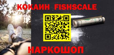 индика Бийск