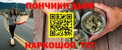 индика Бийск