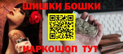 индика Бийск